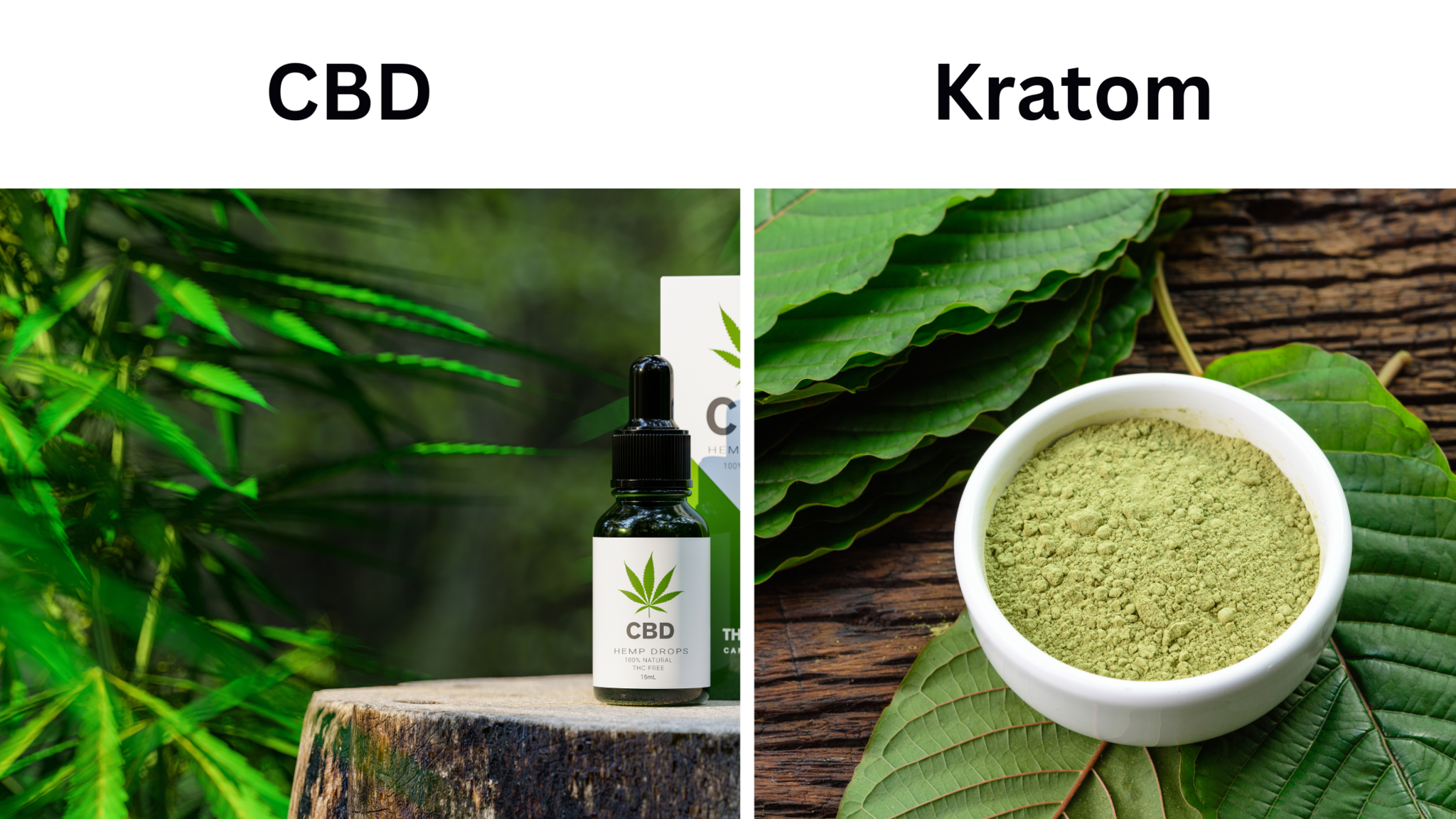 CBD vs. Kratom - Schmerzen, Schlaf und Energie