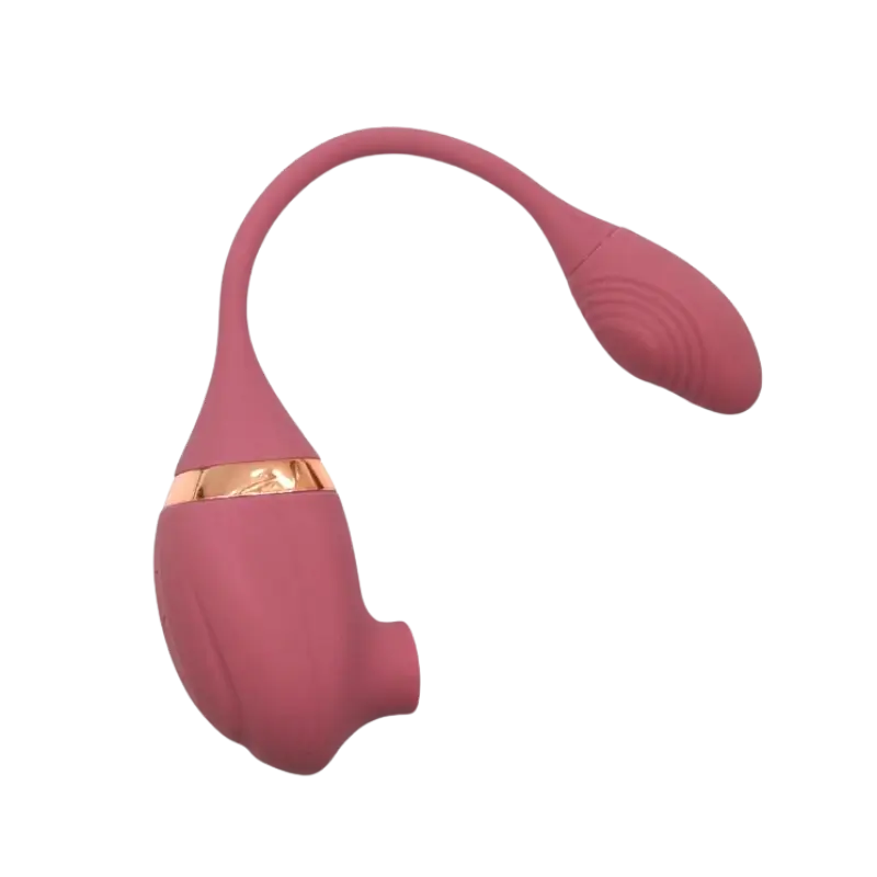 Intimagic Vibrerend Ei en Luchtdruk Vibrator Pink