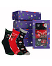 Sockshouse Winter Box Dames Sokken 3-Pack