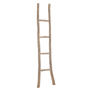 Must Living ladder Must Have