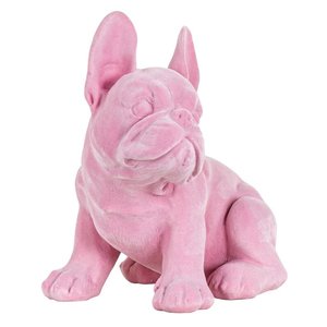 Richmond dog Miro pink
