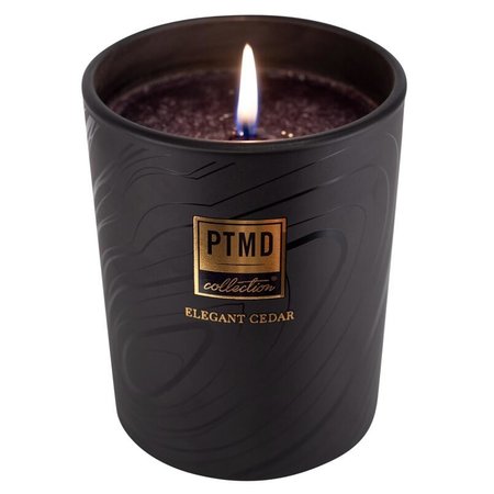 PTMD Collection Elements fragrance candle elegant cedar