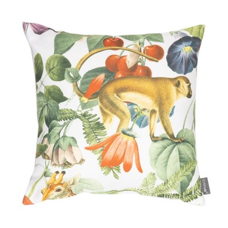 Claudi Sierkussen Exotic outdoor