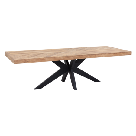 DTP Home DTP Home Masterpiece eettafel Einstein 260 cm