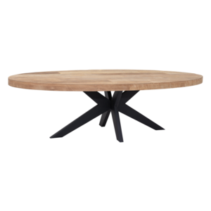 DTP Home Masterpiece eettafel Darwin 260 cm