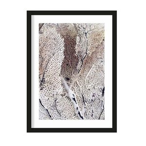 Urban Cotton art print Curly Soft Coral large