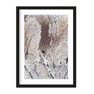 Urban Cotton art print Curly Soft Coral medium