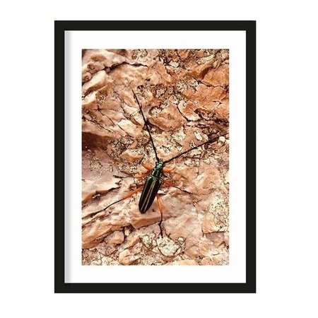 Urban Cotton Urban Cotton art print High On Life Insect medium