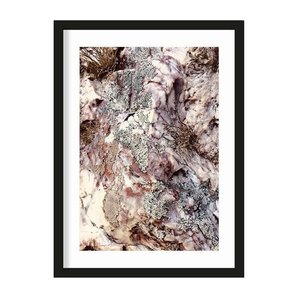 Urban Cotton art print Stone Plants large