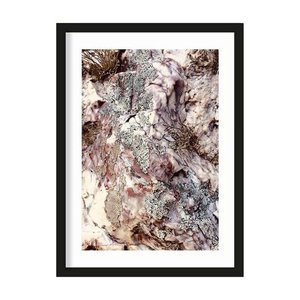 Urban Cotton art print Stone Plants medium