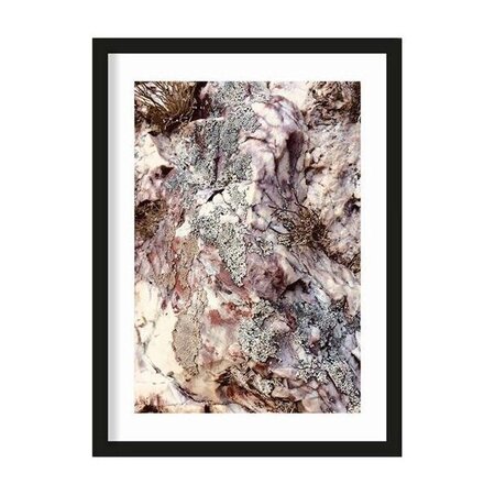 Urban Cotton Urban Cotton art print Stone Plants medium