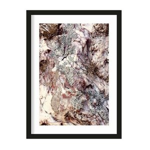 Urban Cotton art print Stone Plants small