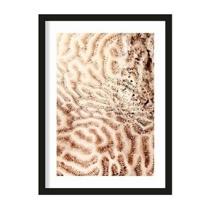 Urban Cotton art print The Brains Of The Sea L