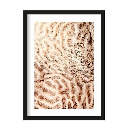 Urban Cotton Urban Cotton art print The Brains Of The Sea S