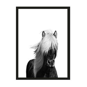 Urban Cotton art print Wild Horse small