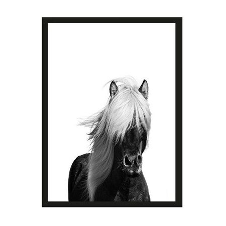 Urban Cotton Urban Cotton art print Wild Horse small