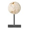 Must Living MUST Living object Ball Cheese Stone