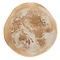 Must Living MUST Living schaal Michelangelo naturel
