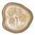 Must Living MUST Living schaal Da Vinci organisch