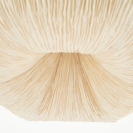 By-Boo By-Boo hanglamp Lokta 3