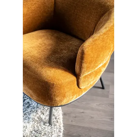 Eleonora Eleonora fauteuil David mosterd