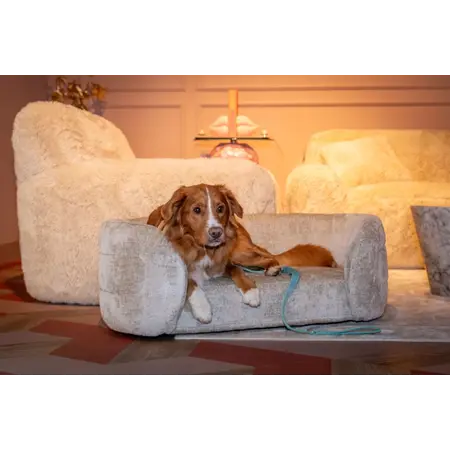 Richmond Interiors Richmond huisdierenbed Bingo clay