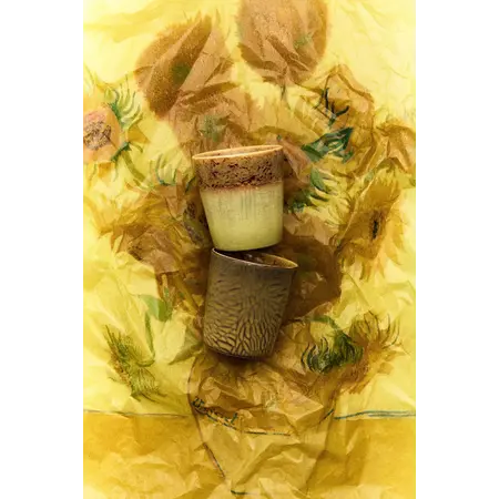 HKliving Hkliving koffiemok Van Gogh sunflowers, set van 2