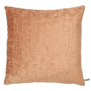 Claudi sierkussen Ponzio abricot