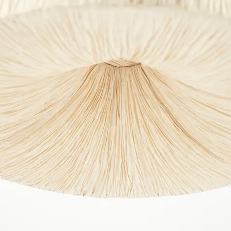 By-Boo By-Boo hanglamp Lokta 1