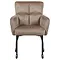 Eetkamerstoel Enzo velvet taupe