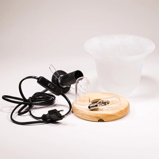 Edelsteen Lamp Inclusief Amethist en Zoutkristal