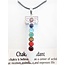 PuurSpirits Opaliet Hanger met Ketting  - 7 Chakra Stenen