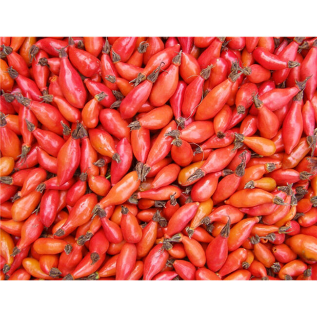 Zeepblok - Rozenbottelzeep - 100 gram