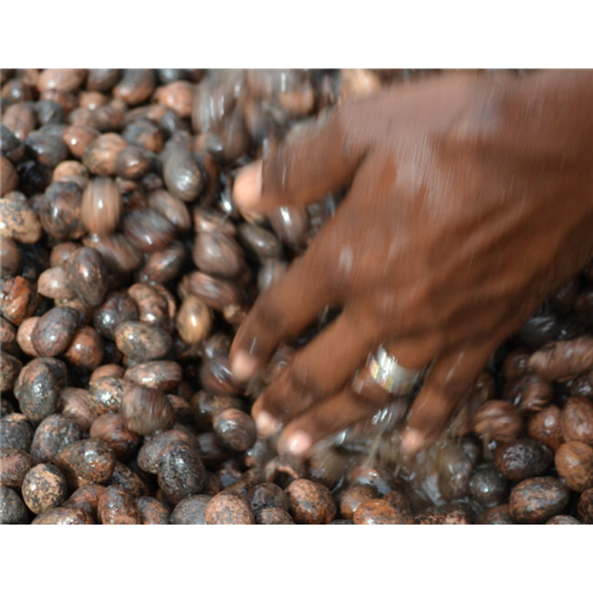 Zeepblok - Savannezeep  - 100gram