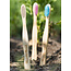 Bamboe tandenborstels medium - 5 stuks