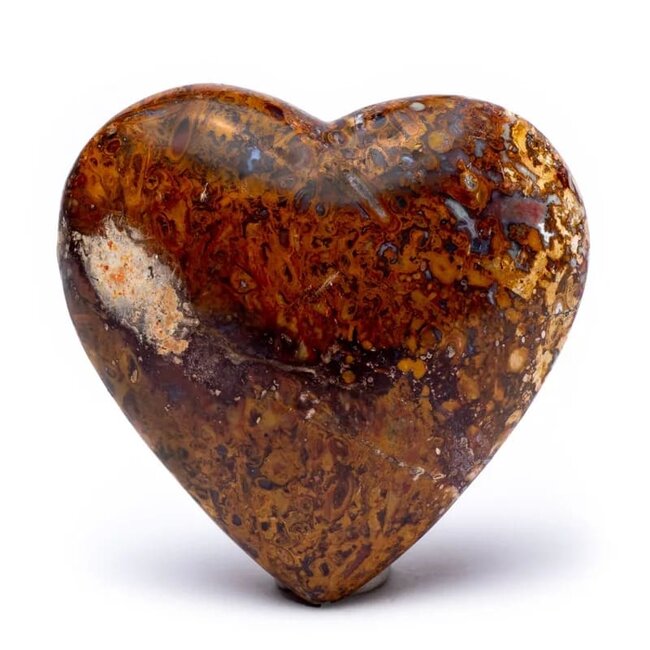 Yogi & Yogini   Knuffelsteen Stromatoliet