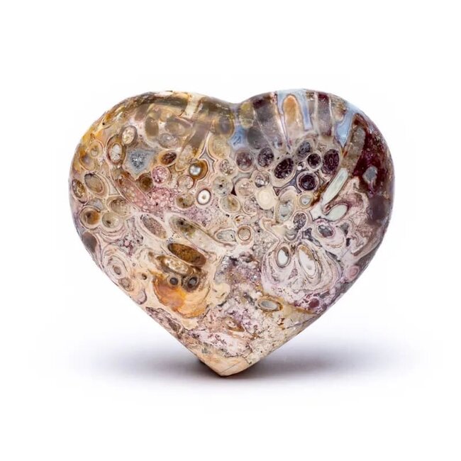 Knuffelsteen Stromatoliet