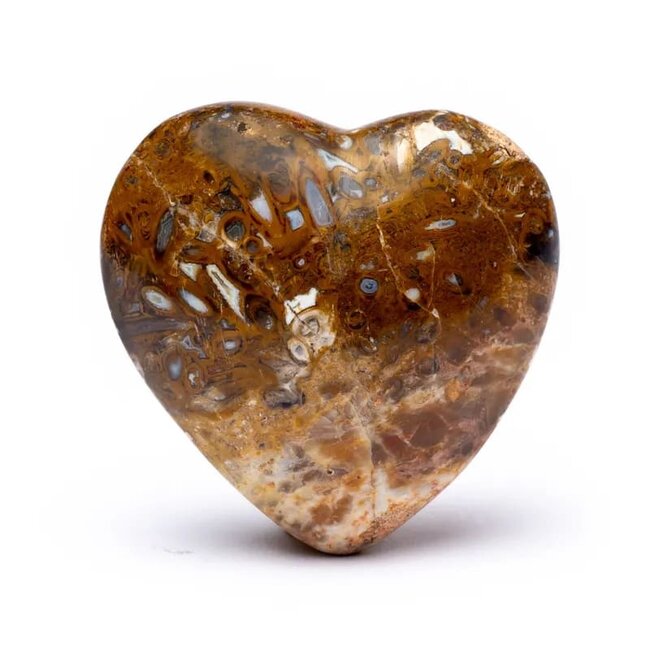 Yogi & Yogini   Knuffelsteen Stromatoliet