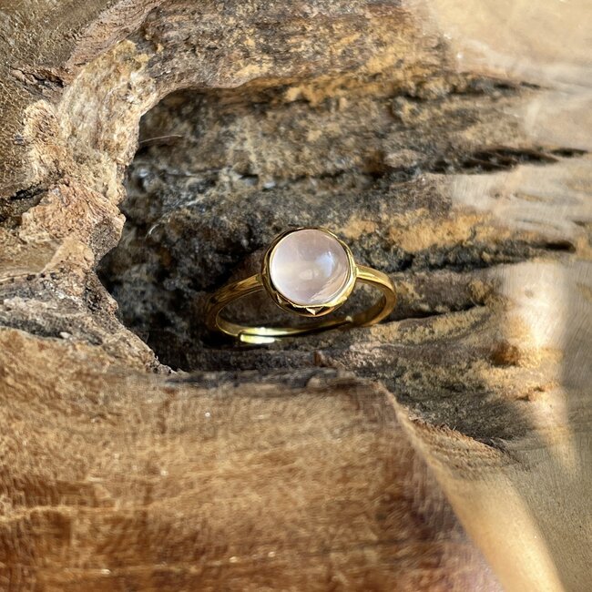 Geboortesteen Ring - Edelstenen - Goldplated