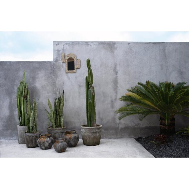 De Cactus Shell Spiegel - Wit