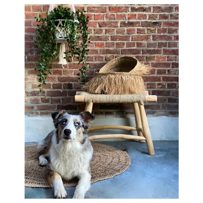 De Macrame Planthanger - Wit - L