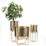 De Messing Plantenbak op Voet - Messing - M