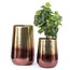 De Two Tone Plantenbak - 35x55cm - Messing/Bordeaux/Roze - Aluminium