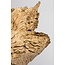 Vensterbank Decoratie Sculptuur - 45x15cm - Bruin/Zwart - Erosihout