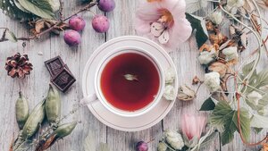 Blog: Ontdek de magie van de biologische thee.