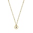 Ketting Tijgeroog Edelsteen Ring Goudkleurig
