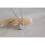 Ketting Rozenkwarts Self Love Zilverkleurig