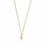 Ketting met Roze Toermalijn en Schelp - Goudkleurig