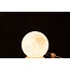 Tafellamp Luna - 20x20x18 cm - Wit - Glas 