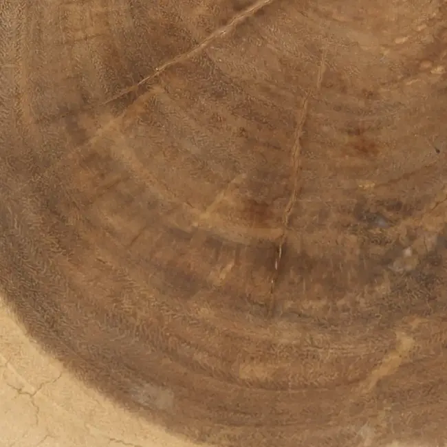 Kruk Massief Teakhout Wit Naturel - Tribe